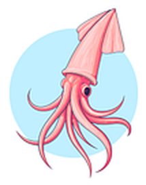 Squid Corp. logo